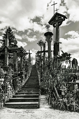 Hill of Crosses ( Litauen )B&W