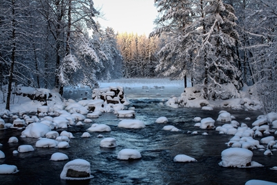 Wintertag auf dem Fluss