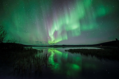  Dancing northern lights