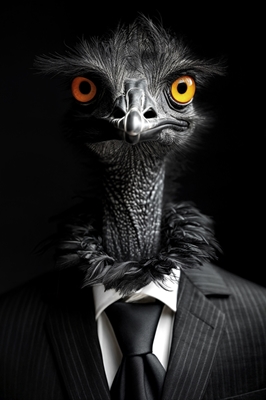 Wild Suits - Emu