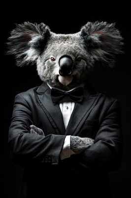 Trajes salvajes - Koala