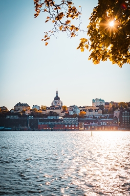 Herbst auf Söder