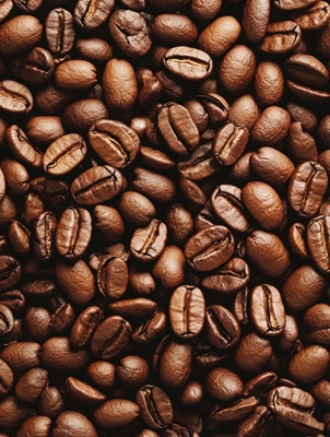 Coffee - Aroma of coffee beans