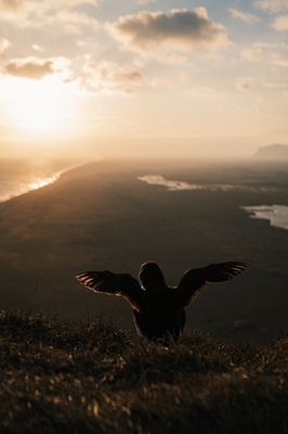 Libertad