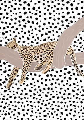 Leopardo dormindo #2531457