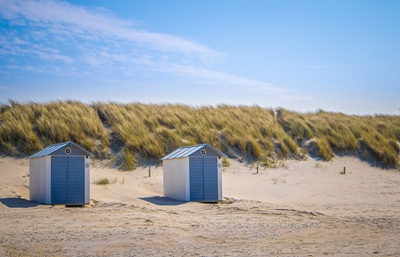 Strandhuisjes in de duinen 