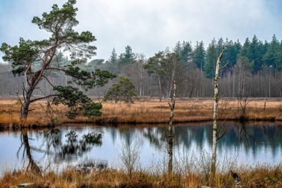 Rust op de veluwe