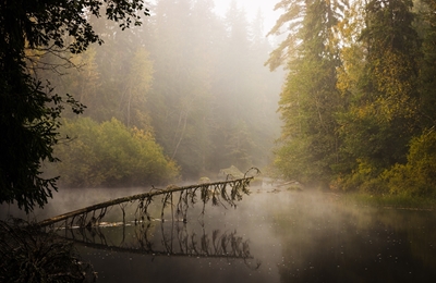 Herbstmorgen auf dem Fluss