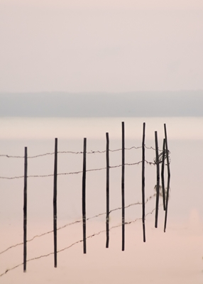 Mirror in lake