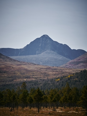 La montaña solitaria