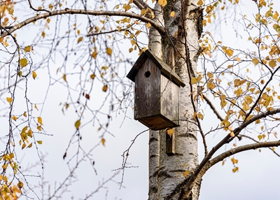 Vogelhuisje