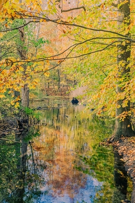 Herfstlicht in Småland