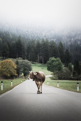 Allein auf weiter Flur