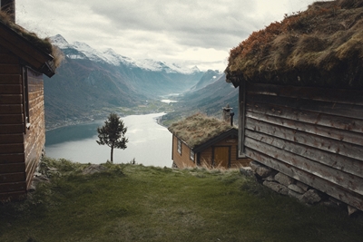 Stryn powiedział: