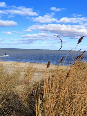 North Sea beach