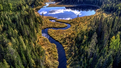 Lagoa da Floresta