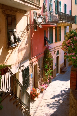 Italiensk gränd med blommor