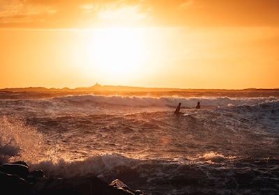 Surfen bij zonsondergang