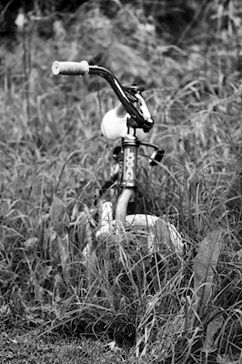 cykel i græsset