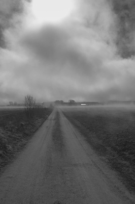 La strada verso la nebbia
