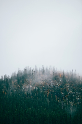 De Berg van de mist