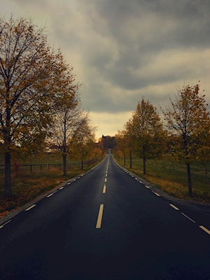 El camino del otoño