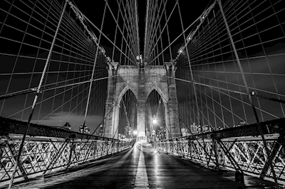 Brooklyn Bridge svv