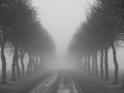 Avenue dans le brouillard