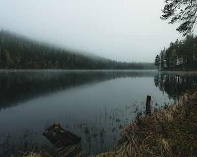 Lago Misty