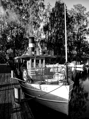Herbert steamboat