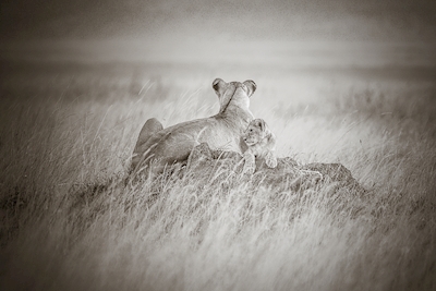 With mother in Serengeti