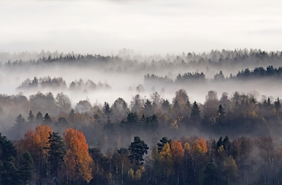 De mist van de herfst