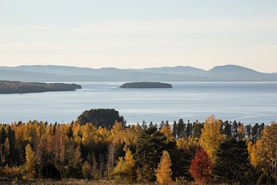 Jesień nad brzegiem jeziora Siljan