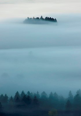 Island in the fog