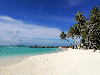 Plaża Bikini, Maafushi