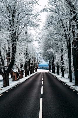La strada per l'inverno