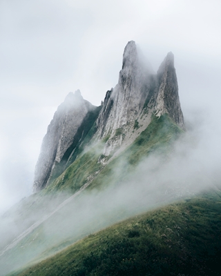 Bjerge og tåge
