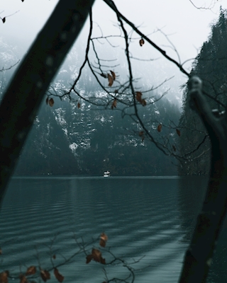 Tranquilidad en el lago