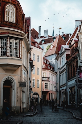 Starý Tallinn