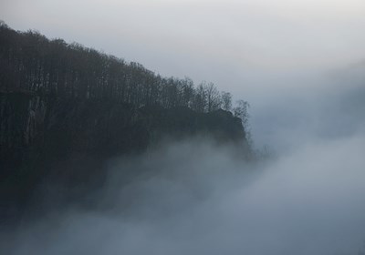 Uit de mist