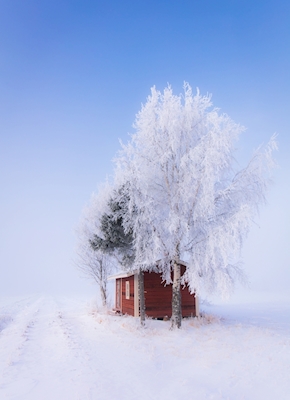 Rød hytte om vinteren