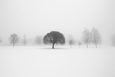 Inverno minimalista