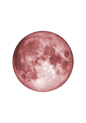 Vaaleanpunainen kuu