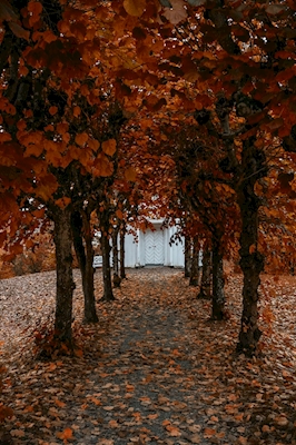 Podzim v Haldenu