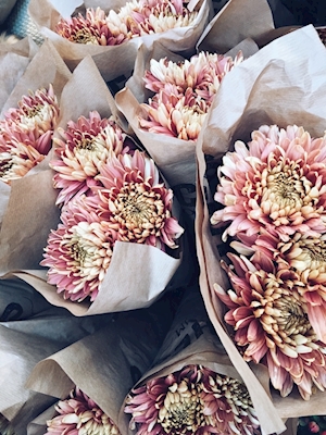 Bouquets de fleurs