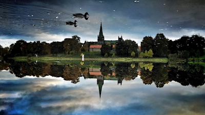 Ducks and the Cathedral