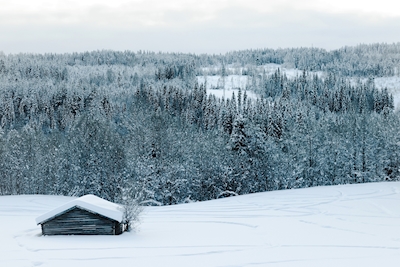 Stodoła na siano w zimowym krajobrazie