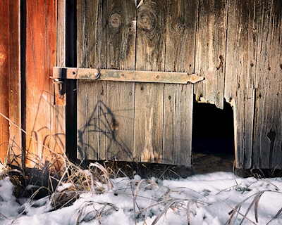 The barn door