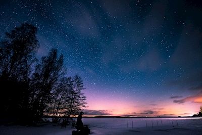 Estrellas sobre el lago invernal