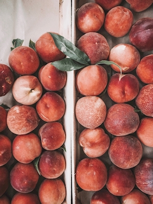 Sommar persikor